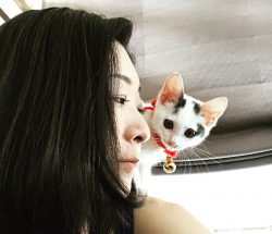 自分以外のことに頭と時間を使ってばかりいると「私」のことを忘れてしまう 自分以外のことに頭と時間を使ってばかりいると「私」のことを忘れてしまう