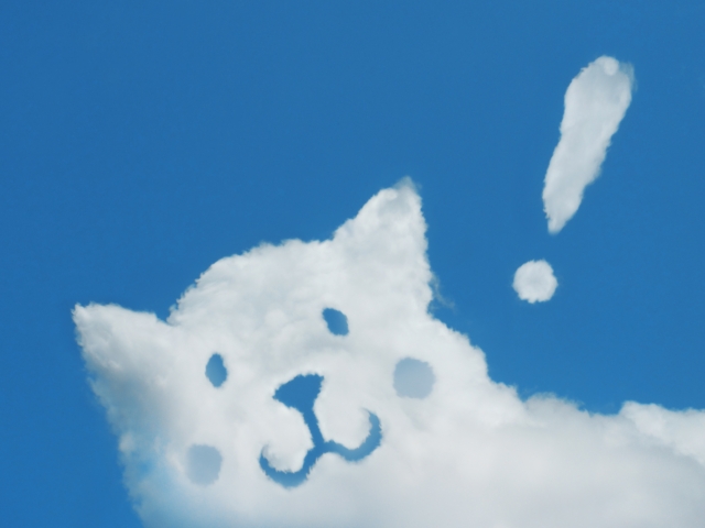 夫の答えを先回りして余計にモヤモヤが増す件について。 夫の答えを先回りして余計にモヤモヤが増す件について。
