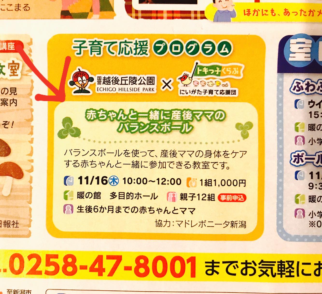 11/16越後丘陵公園「赤ちゃんと一緒に産後ママのバランスボール」のお知らせ 11/16越後丘陵公園「赤ちゃんと一緒に産後ママのバランスボール」のお知らせ