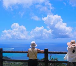 産後のボディメイクを先延ばしにするメリット? 産後のボディメイクを先延ばしにするメリット?